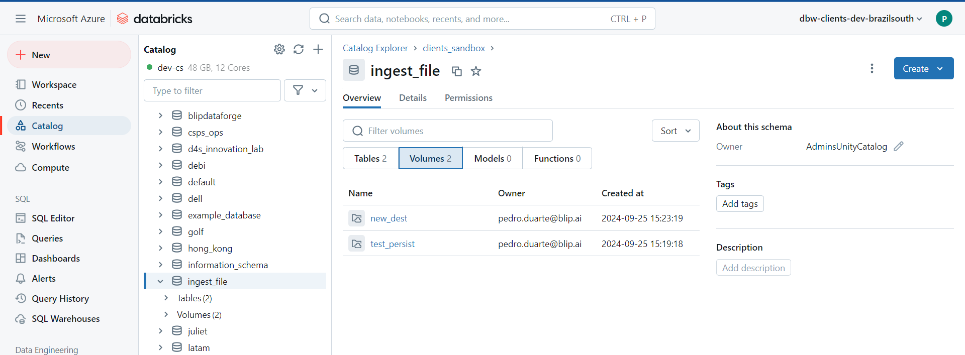 An example of volume created by persist_files()